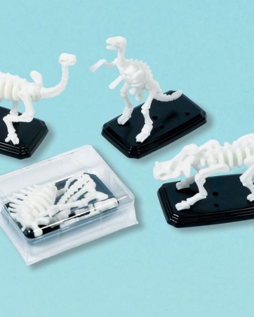 3D Fossil Puzzles 12pk