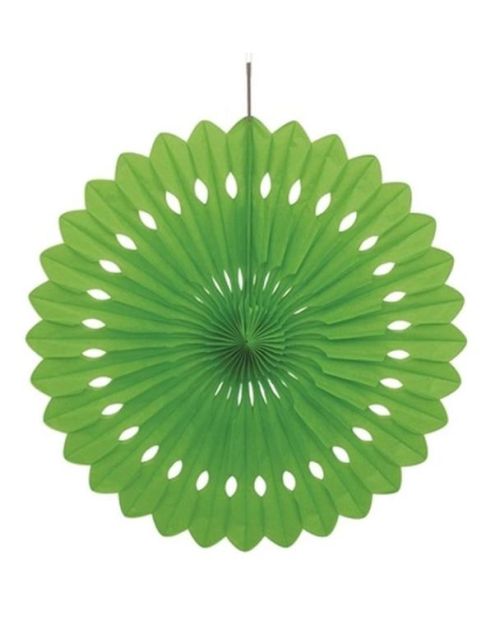 Decorative Fan 40cm – Light Green