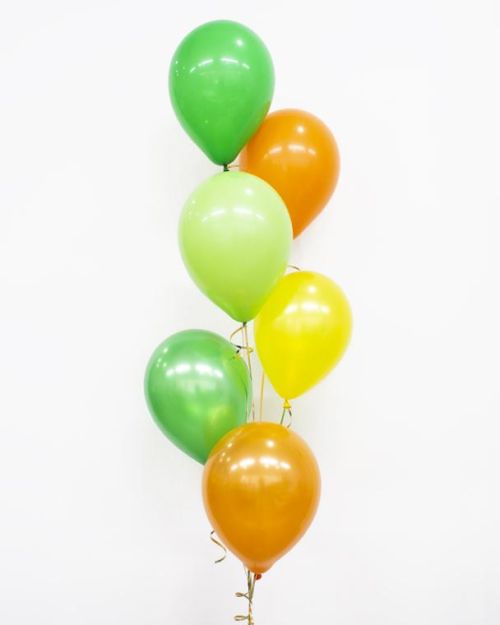 Plain Balloon Mix – Jungle 6pk