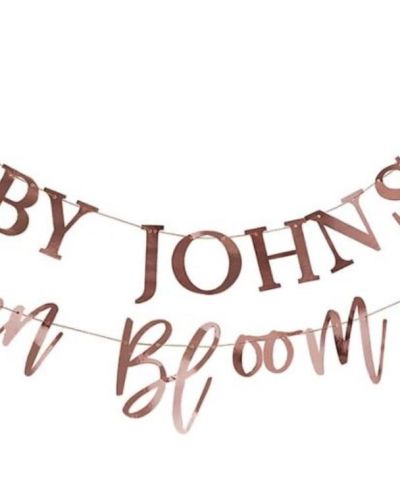 Baby in Bloom Customisable Banner