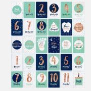 Baby Milestone Cards 20pk