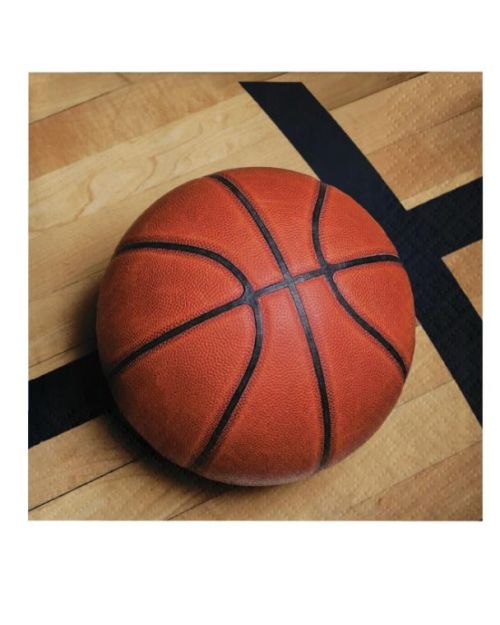 Basketball Fan Bev Napkins