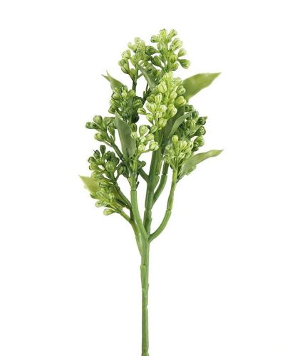 Berry Pick – Light Green