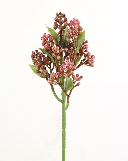 Berry Pick – Rosebloom