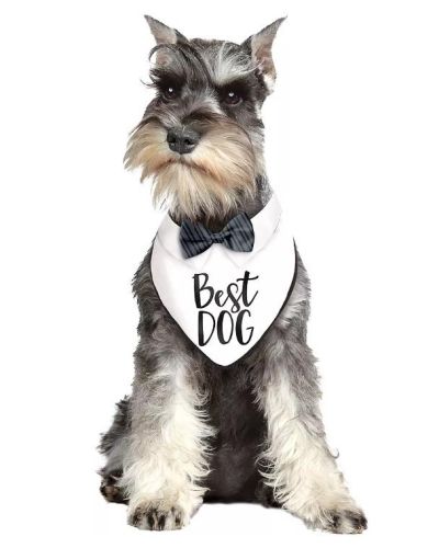 Best Dog Bandana