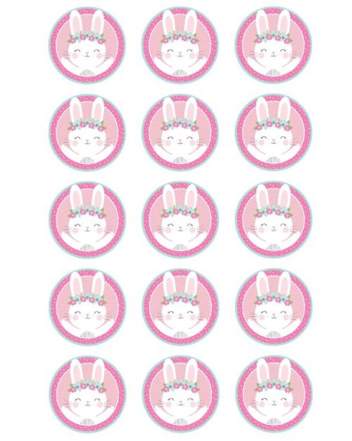 Edible Icing Cupcake Images – Birthday Bunny