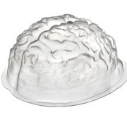 Brain Shaped Jelly Mould