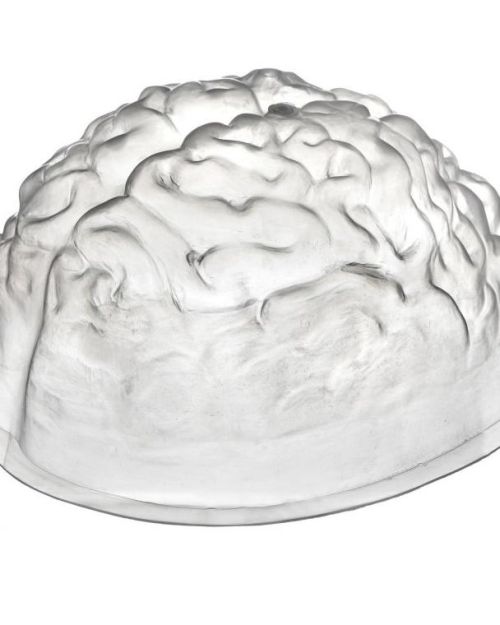 Brain Shaped Jelly Mould