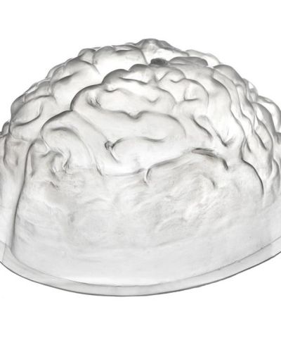 Brain Shaped Jelly Mould