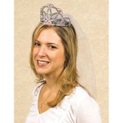 Bride to Be Tiara with Veil