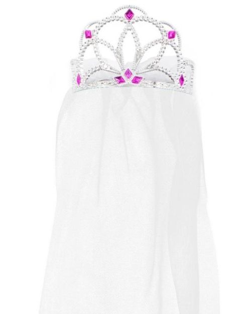 Bride to Be Tiara with Veil