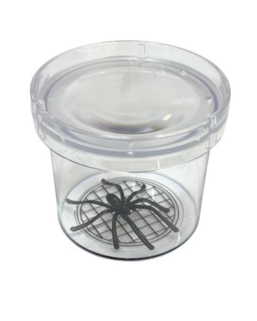 Magnifying Bug Viewer