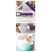 Cake Craft Manual Airbrush