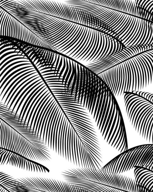 Caking It Up – Mesh Stencil Catalina