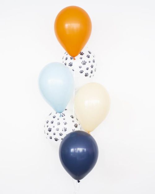 Plain Balloon Mix – Bluey 6pk