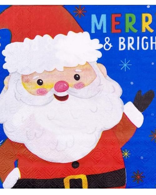 Christmas Napkins 20pk – Santa