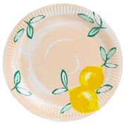 Citrus Fruits Dinner Plates 12pk