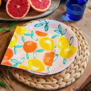 Citrus Fruits Dinner Plates 12pk