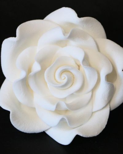 Gumpaste Classic Rose Jumbo – White