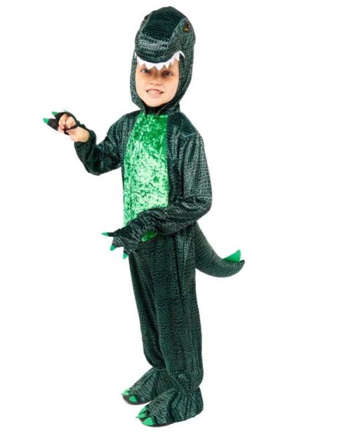 Dark Green Dinosaur Costume – Child 6-8yrs