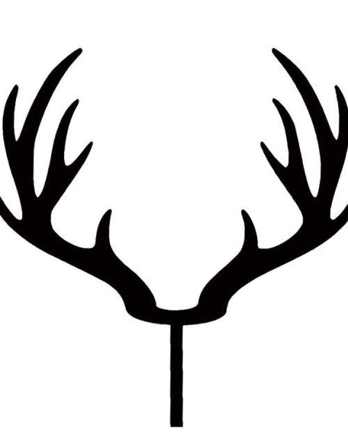 Red Deer Antlers – Black