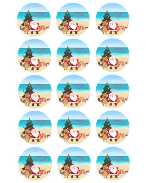 Edible Icing Image – Summer Santa Cupcakes