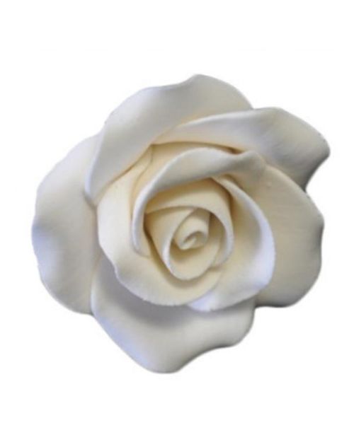 Single Icing Rose – Medium White