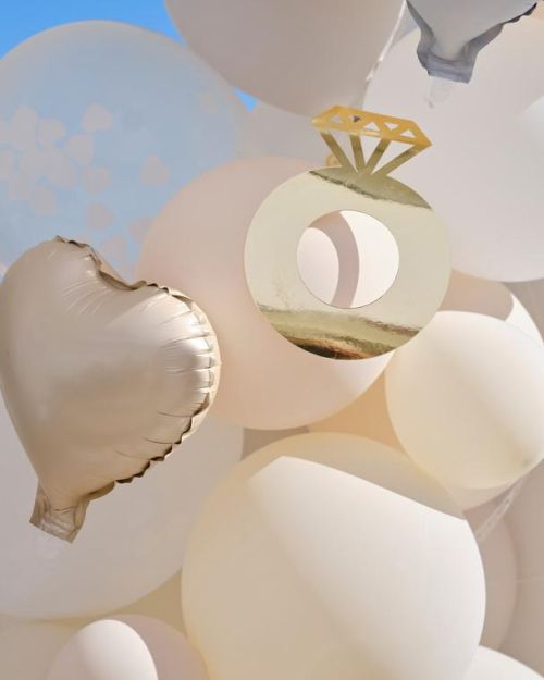 Engagement Party Balloon Arch Kit