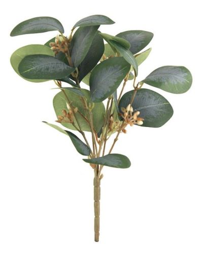 Eucalyptus Bush – Hunter Green