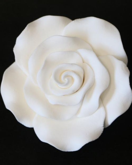 Gumpaste White Rose – Extra Large