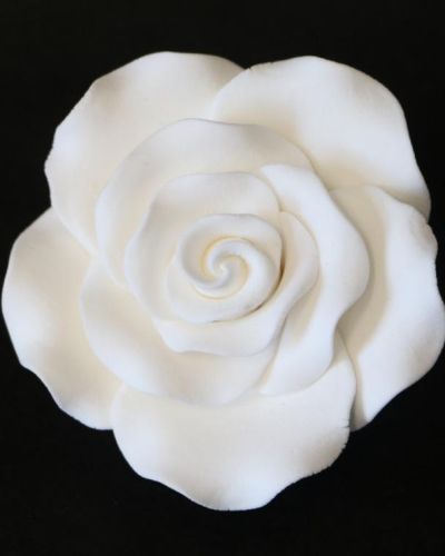 Gumpaste White Rose – Extra Large