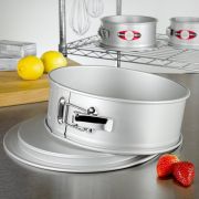 Fat Daddios Springform Pan 10x3in