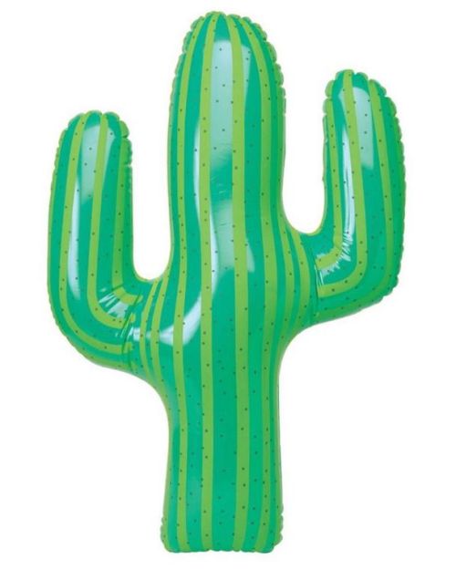 Inflatable Cactus