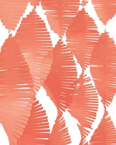 Fringe Garland – Coral