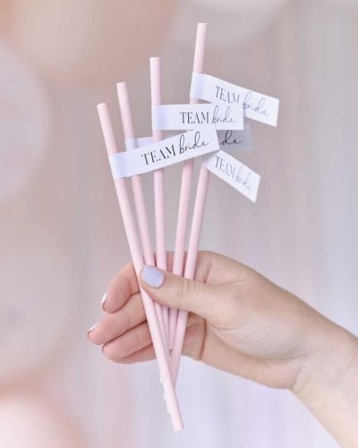 Future Mrs Team Bride Straws 16pk