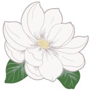 Garden Party Flower Shaped Placemats 8pk