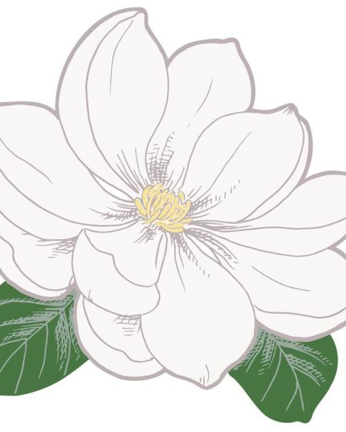 Garden Party Flower Shaped Placemats 8pk