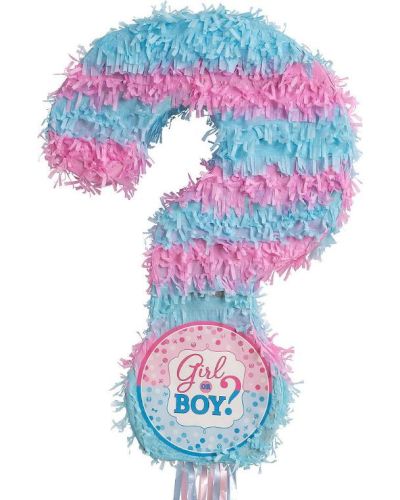 Gender Reveal Pull-string Pinata