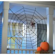 Giant Rope Spider Web
