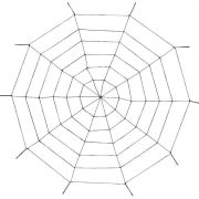 Giant Rope Spider Web