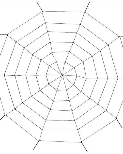 Giant Rope Spider Web