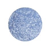 GoBake Edible Glitter Dust – Blue