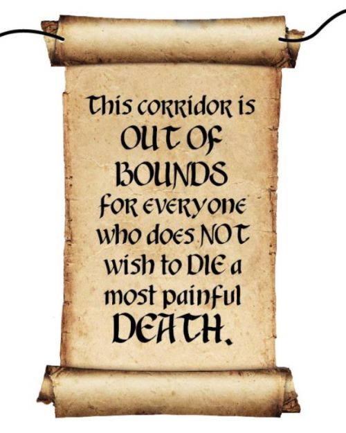 Harry Potter Door Decoration with Rope