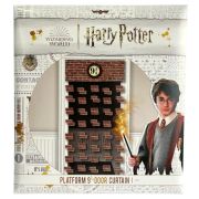 Harry Potter Platform 9 3/4 Door Curtain