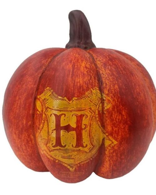 Harry Potter Halloween Pumpkin
