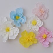 Hello Spring Tissue Paper Flowers 6pk