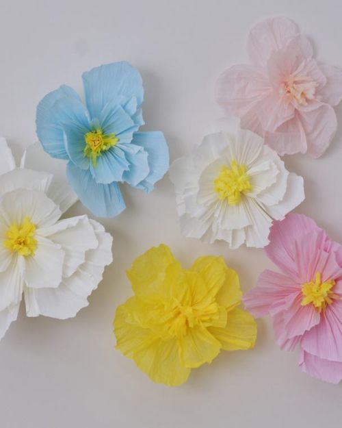 Hello Spring Tissue Paper Flowers 6pk