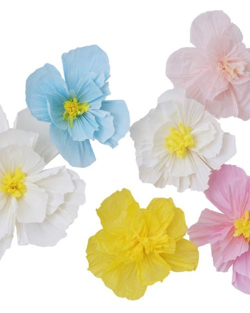 Hello Spring Tissue Paper Flowers 6pk