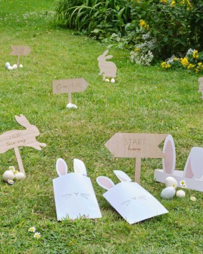 Hey Bunny Egg Hunt Kit