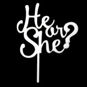 White Acrylic Cake Topper – He or She